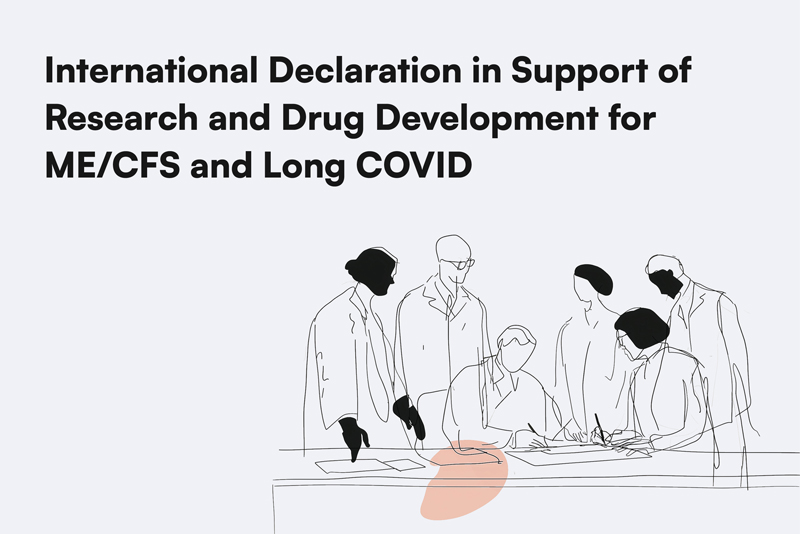 Internation Declaration Banner Deutsch